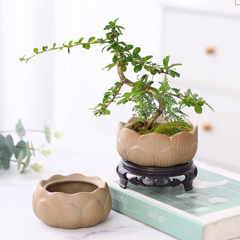 Bonsai Garden Art - Tembikar kasar Pot tanaman hijau teratai,