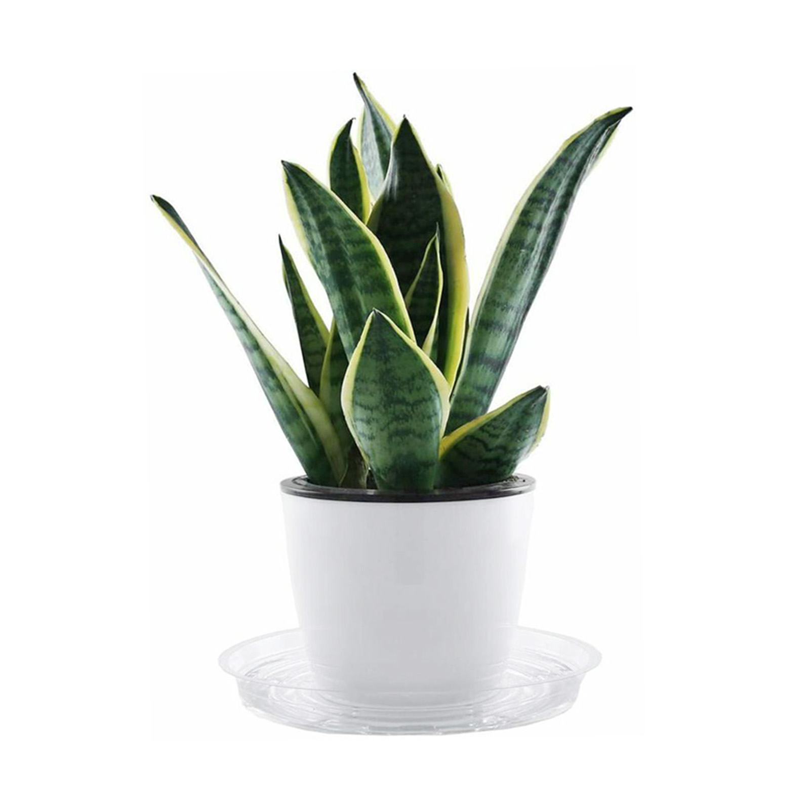 10 Buah Piring Tanaman Taman B - Drip Tray Saucer ulasan dan harga