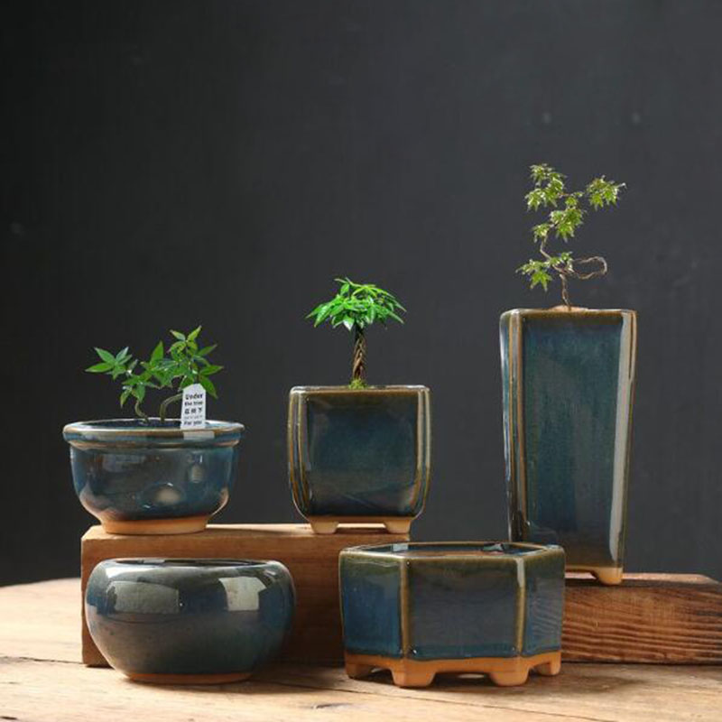 Pot Bunga Kulit Telur Berlapis - Bonsai Garden Art ulasan dan harga