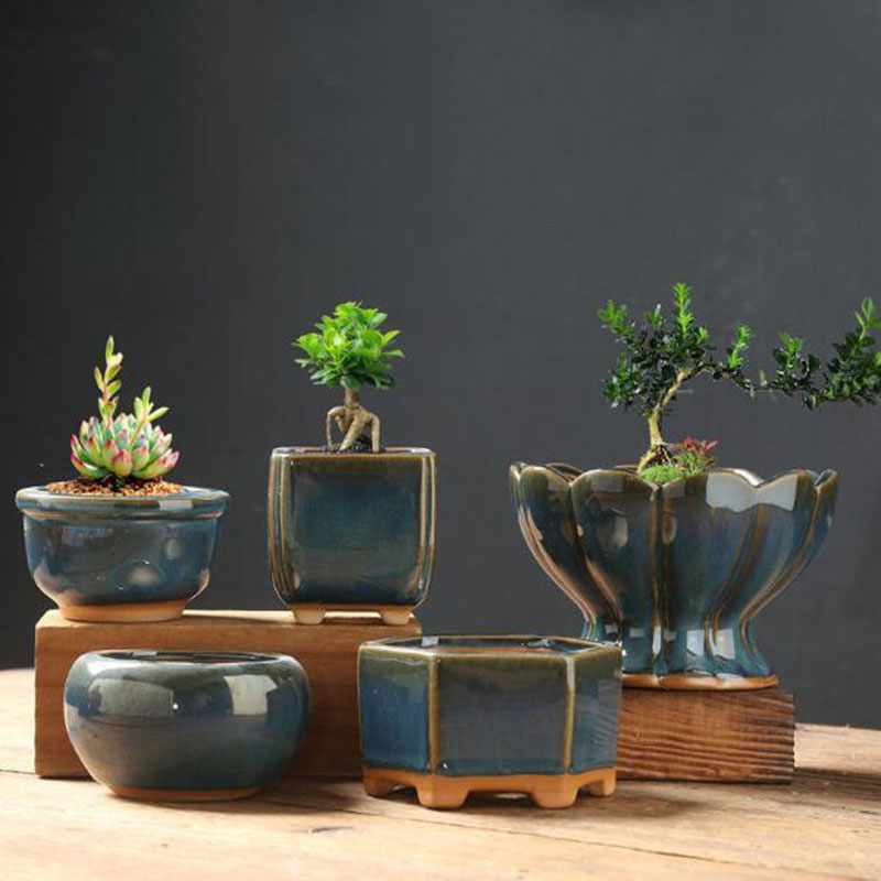 Pot Bunga Kulit Telur Berlapis - Bonsai Garden Art ulasan dan harga